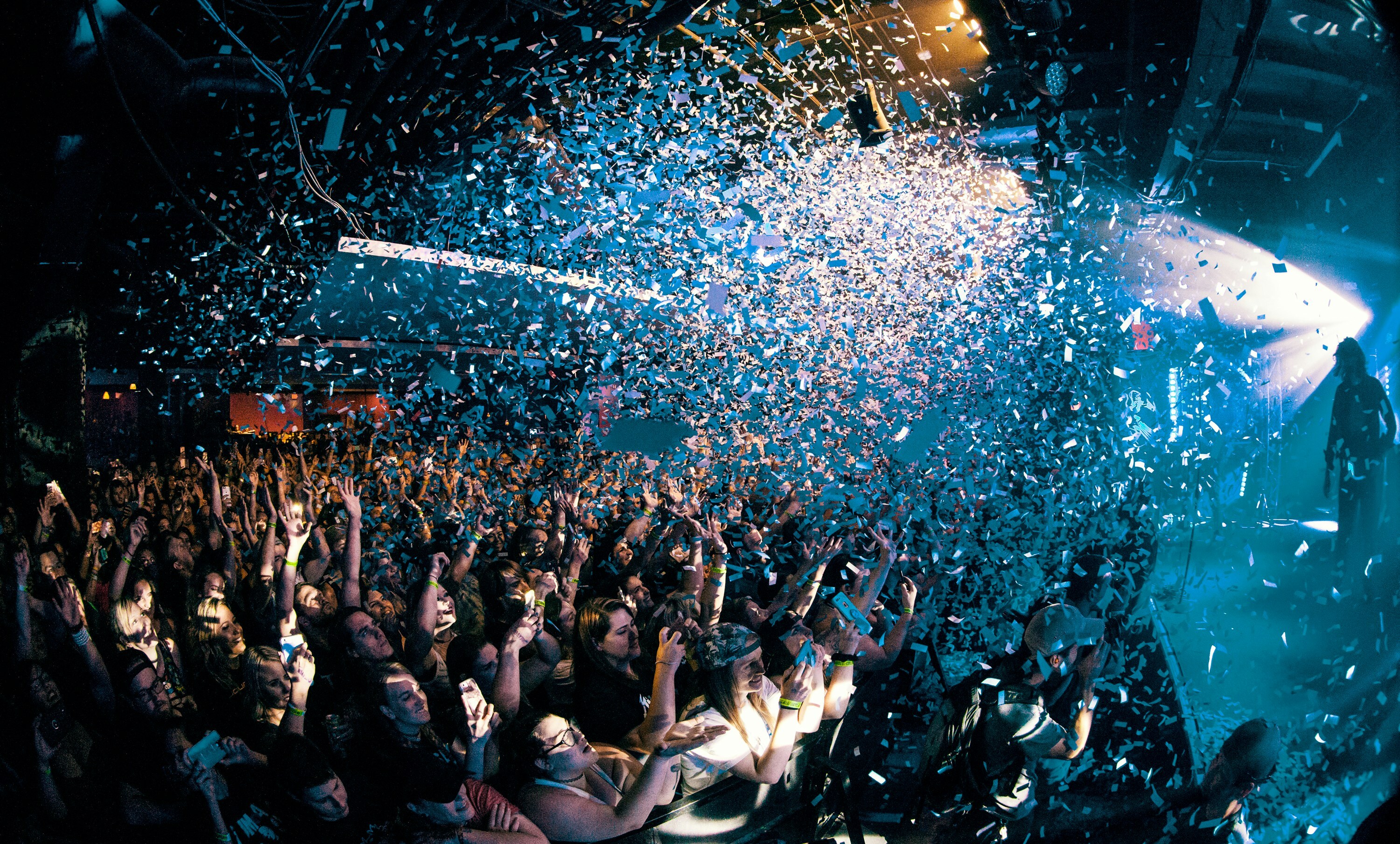 Crowd celebrating at a live concert