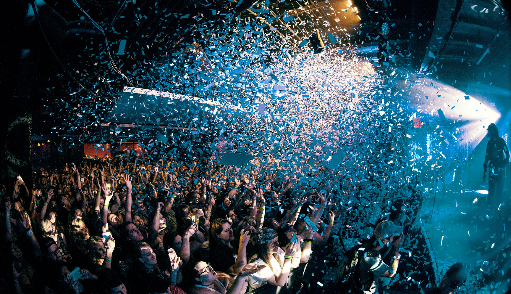 Crowd celebrating at a live concert